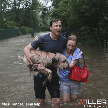 7 Ways You Can Help Hurricane Irma &amp; Harvey Victims