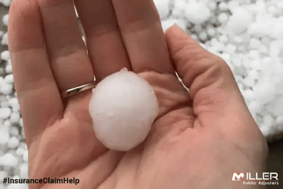 What to do When Your Home or Business Suffers From Hail Damage