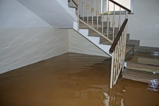 Flood Damage Insurance Claim