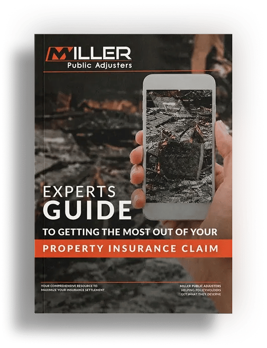 expert_guide