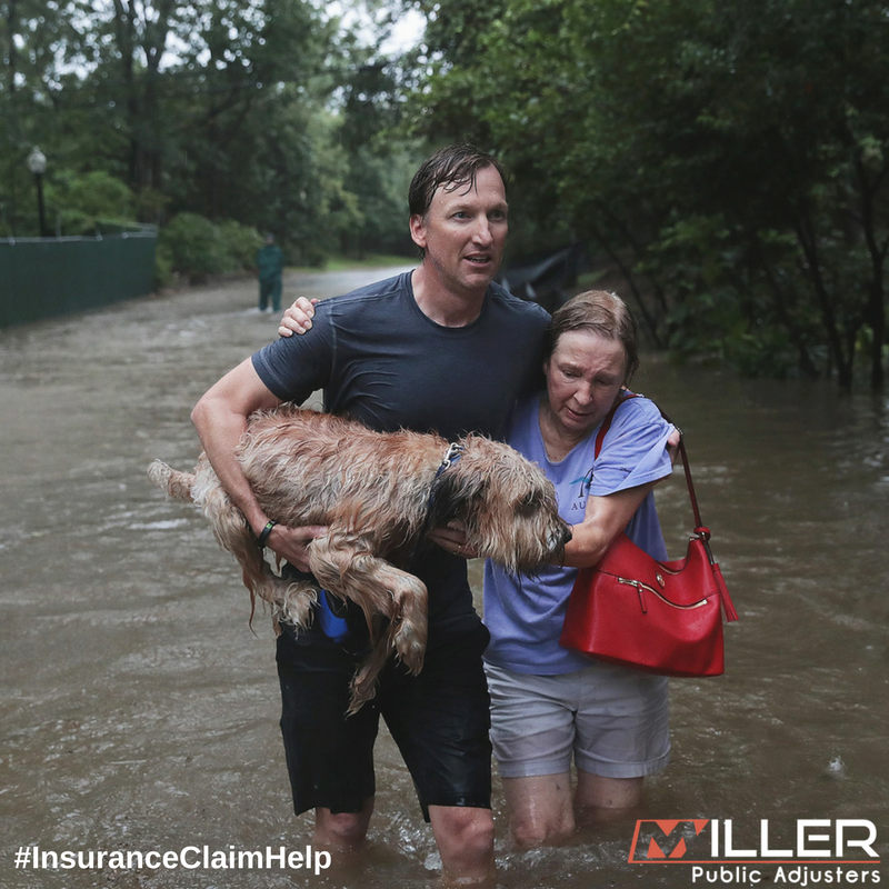 7 Ways You Can Help Hurricane Irma & Harvey Victims