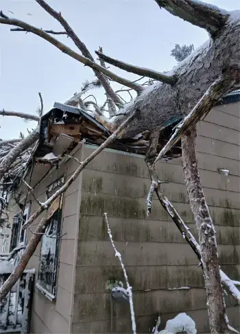 Claims wind