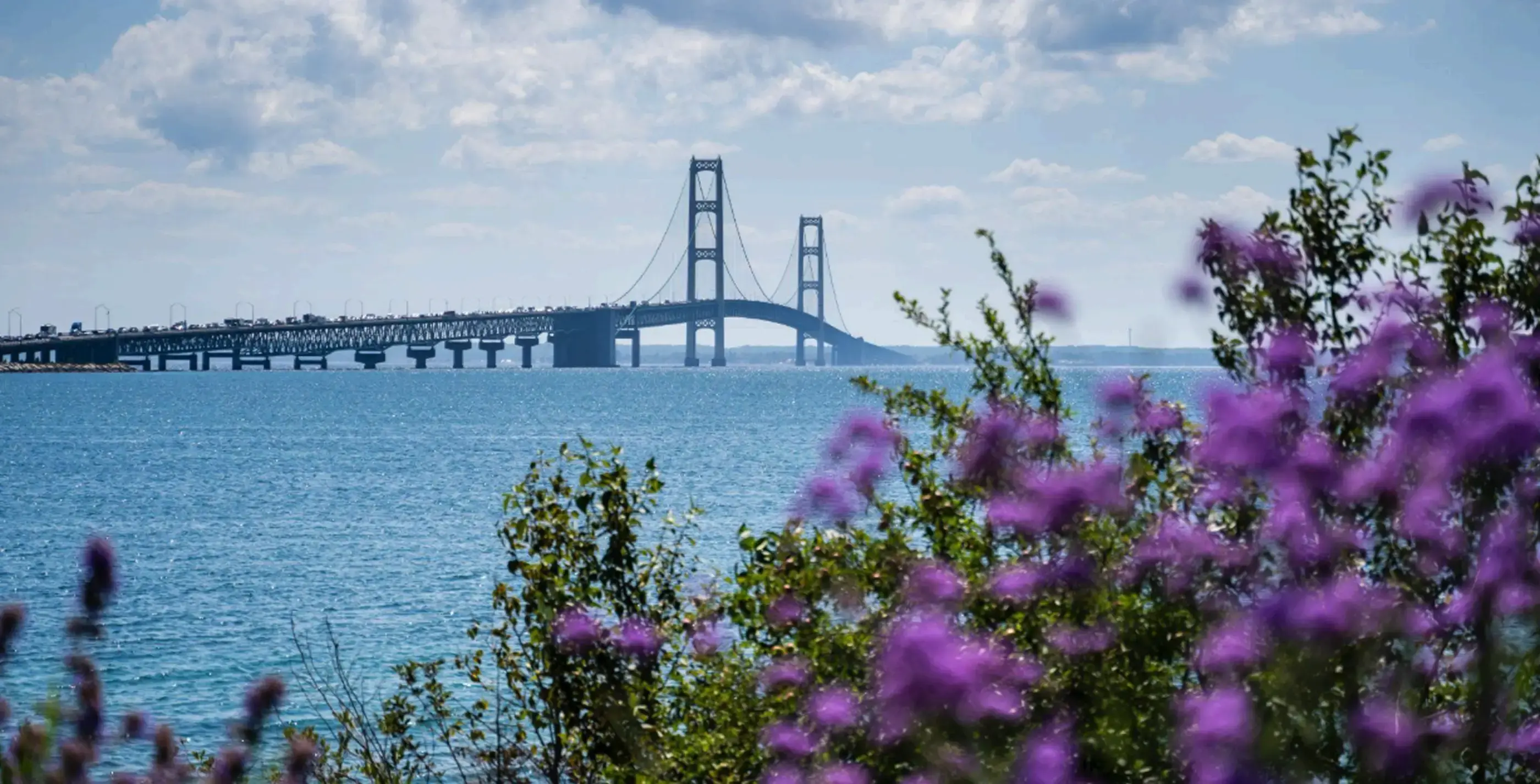 Michigan_substate_bnrbg