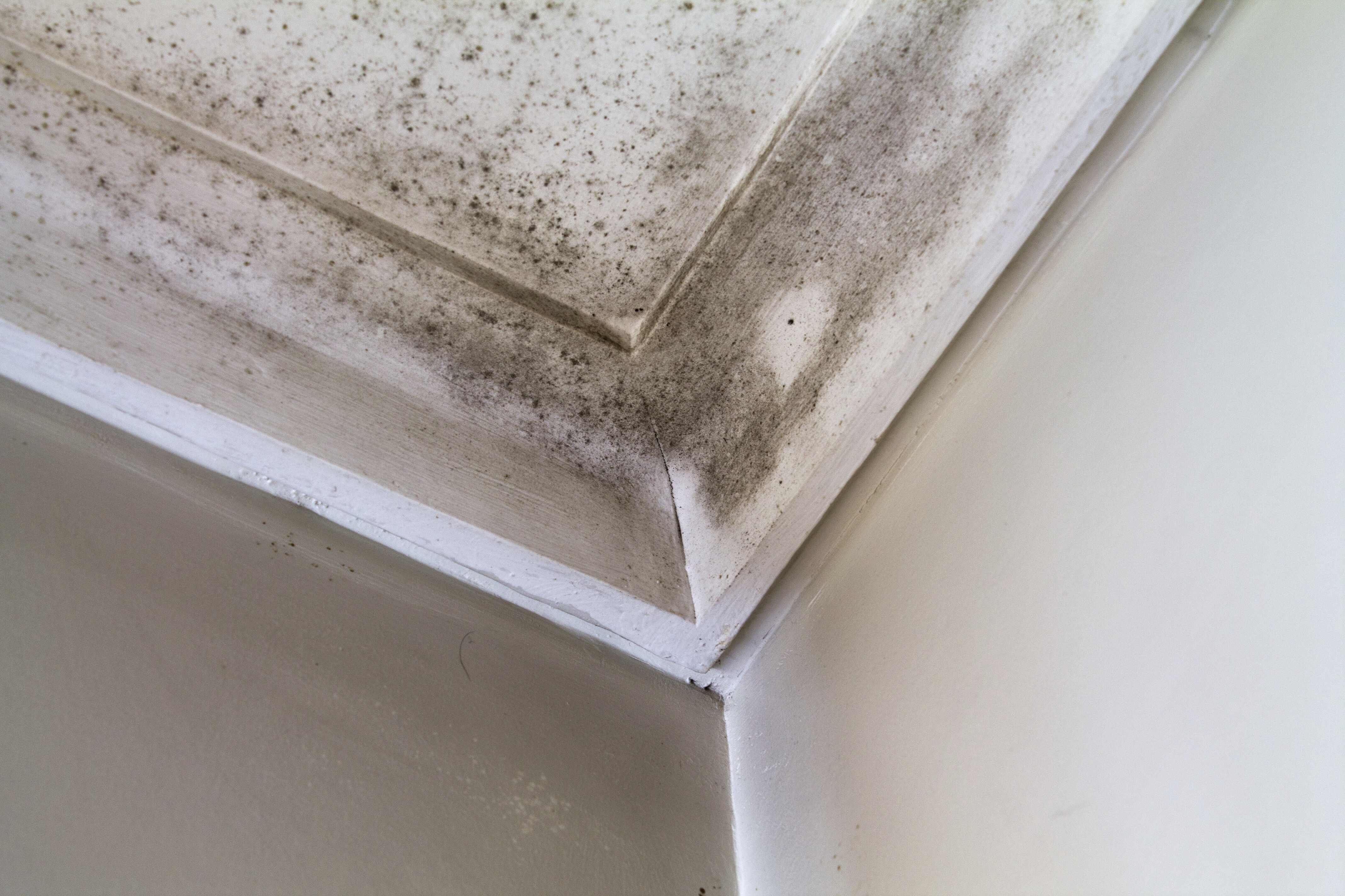 Hidden Costs An Expert Can Recover After a Commercial Property Loss