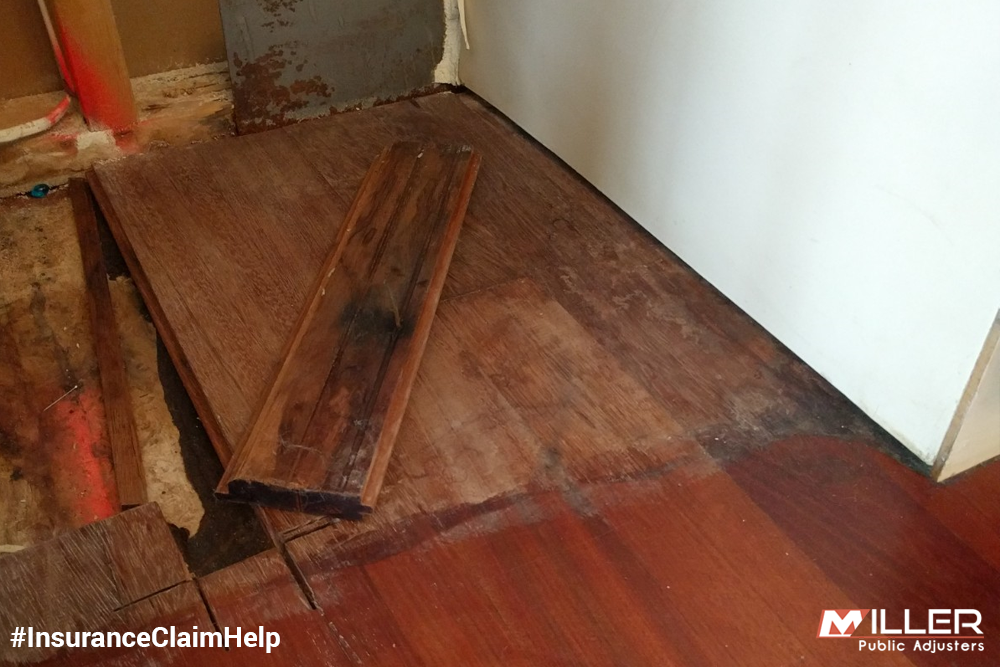 Licensed Public Adjusters Make Sure Everything's Covered