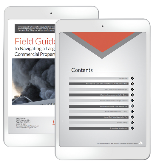 field-guide-ipad-mockup-FIXED