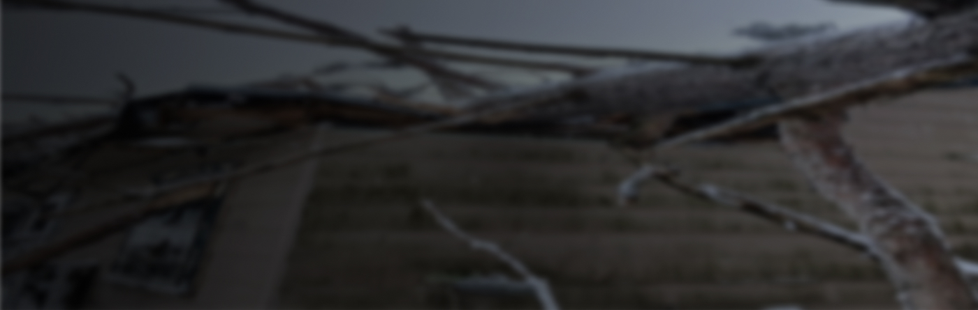 wind-damage-banner